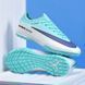 Сороконожки Mercurial Vapor TF nbs-25-45 фото 6