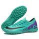 Сороконіжки Caroc Zoom-300 Turquoise TF nbs-30-46 фото 1